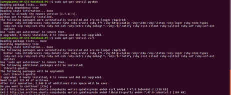 Terminal output showing Python installation