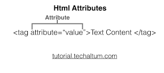 HTML Attributes | attributes in html, HTML class and id attribute